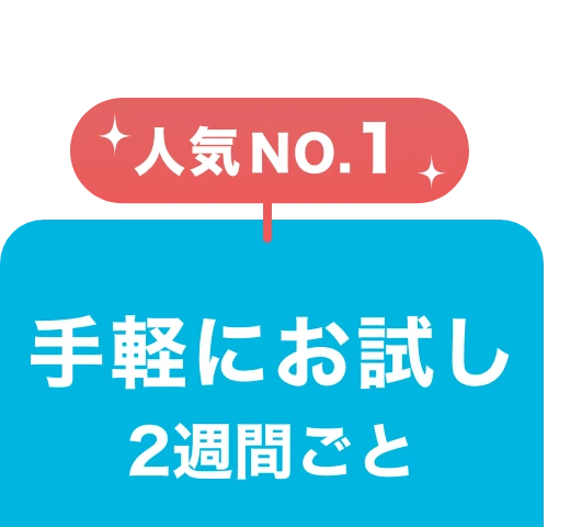 2週間定期コースを選択中