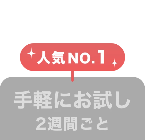 2週間定期コース