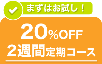 お得にお届け便を選択中