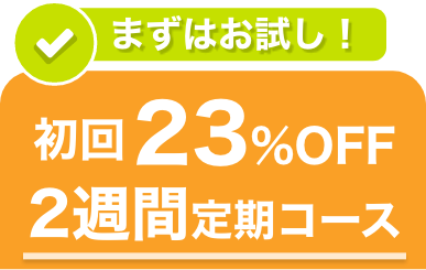 お得にお届け便を選択中