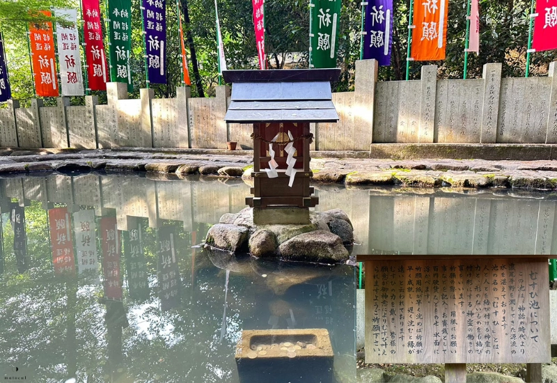 大縣神社の「むすひ池」