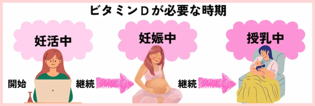 ビタミンDが必要な時期のイラスト