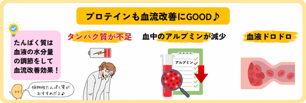 プロテインも血流改善に効果があることが示されているイラスト