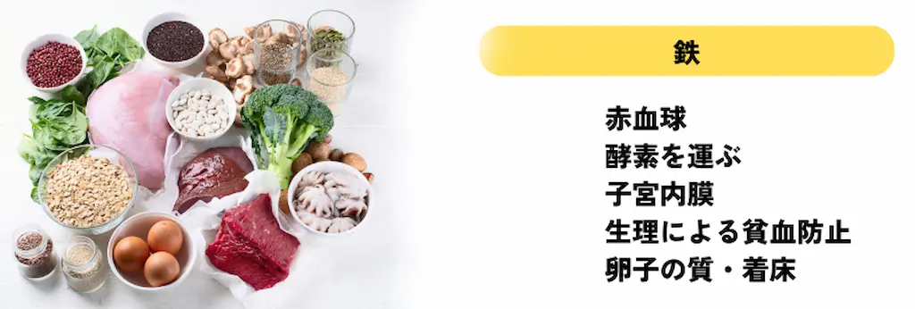 supplement-image2