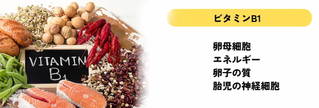 supplement-image4