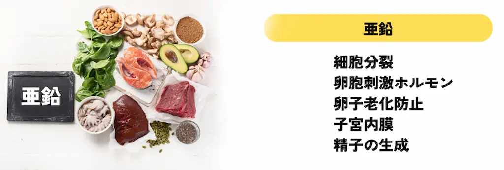 supplement-image9