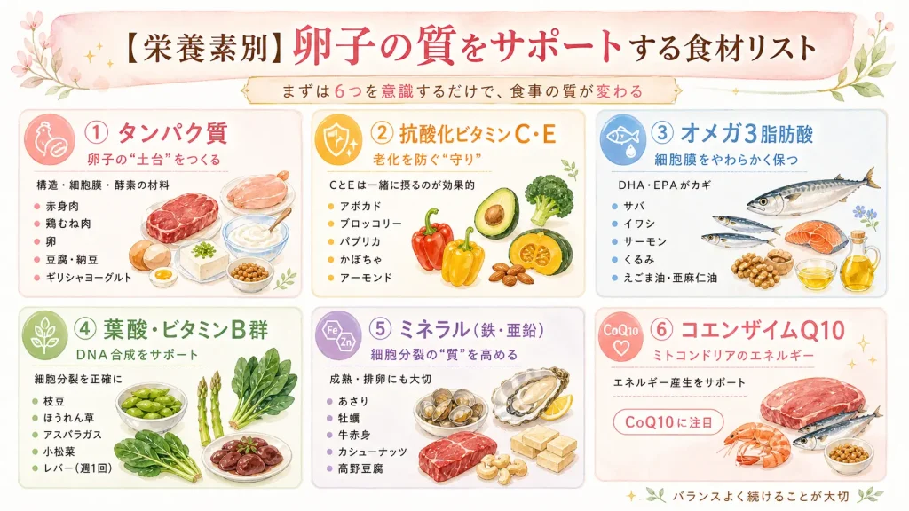【栄養素別】卵子の質をサポートする食材リスト