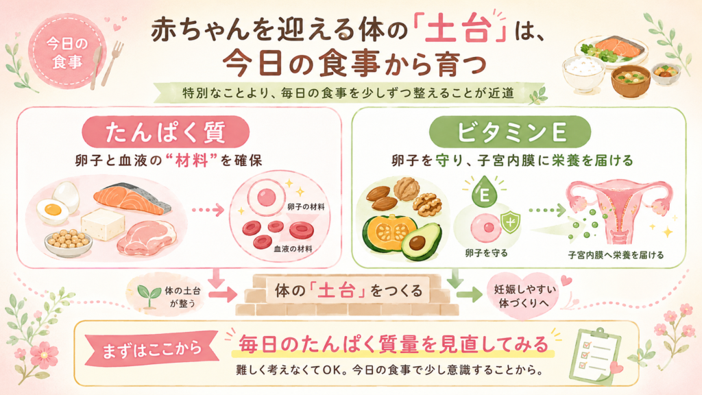 赤ちゃんを迎える体の「土台」は、今日の食事から育つを説明した画像