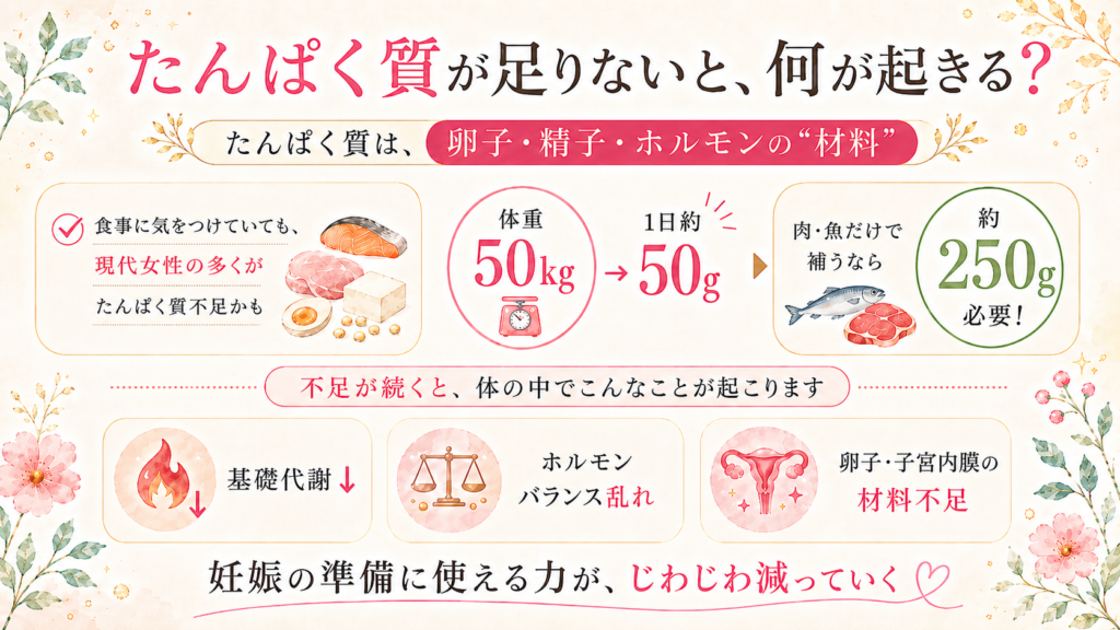 たんぱく質が足りないと、何が起きる？を説明した画像
