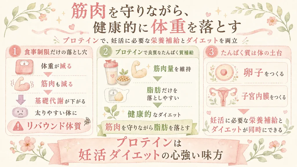 筋肉を守りながら、健康的に体重を落とすを説明したイメージ画像