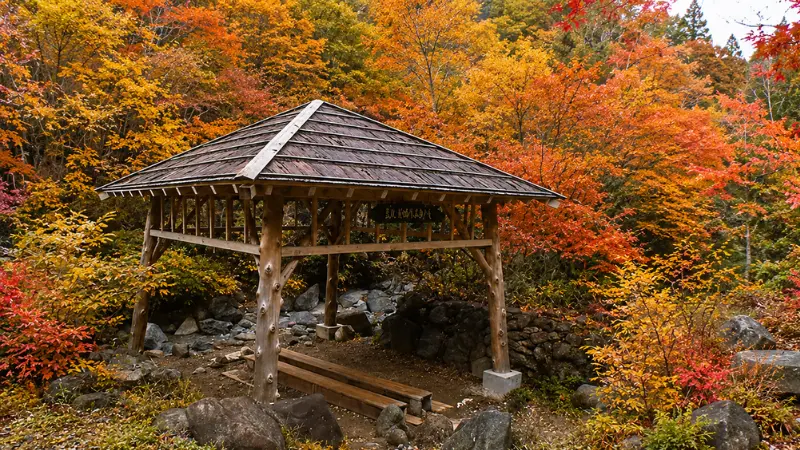 kodakara-onsen-image2